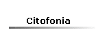 Citofonia